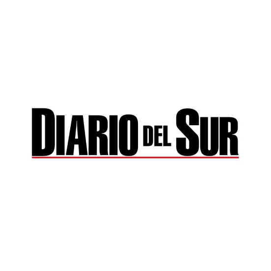 Logo de Diario del Sur